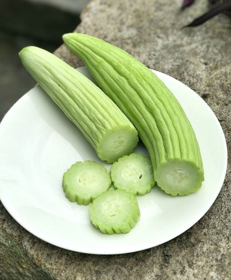 Seeds - armenian yard long cucumber veggie