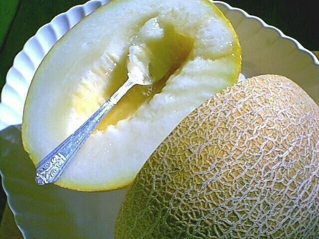 Seeds - eindor melon ein dor veggie