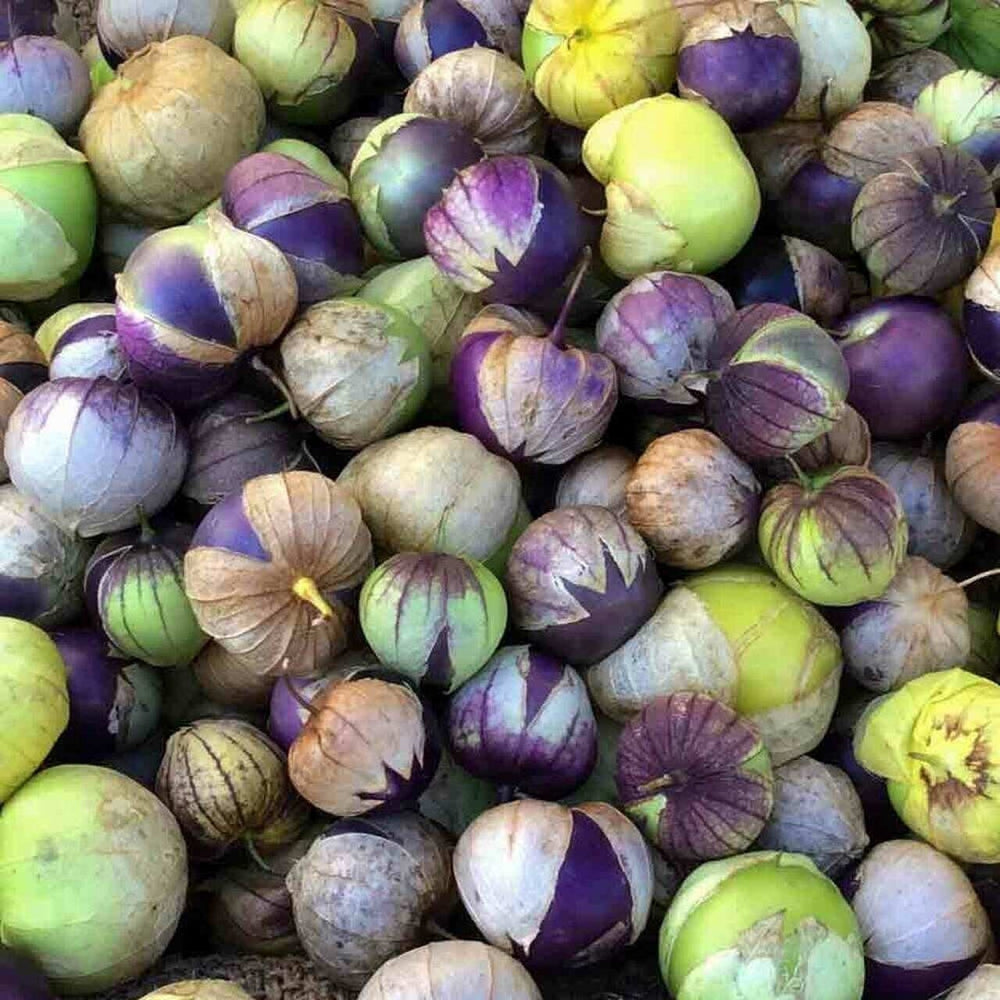 Seeds - organic purple tomatillo veggie
