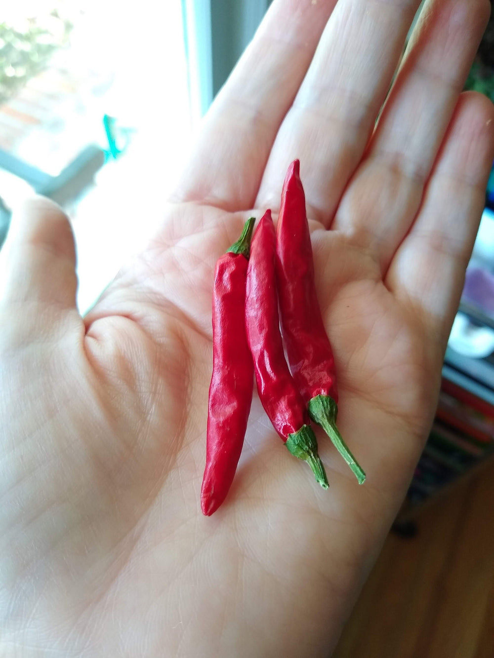 Seeds - santaka pepper