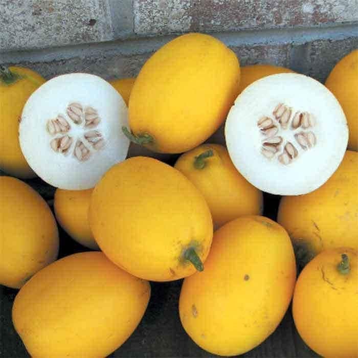 Seeds - mango melon vine peach fruit
