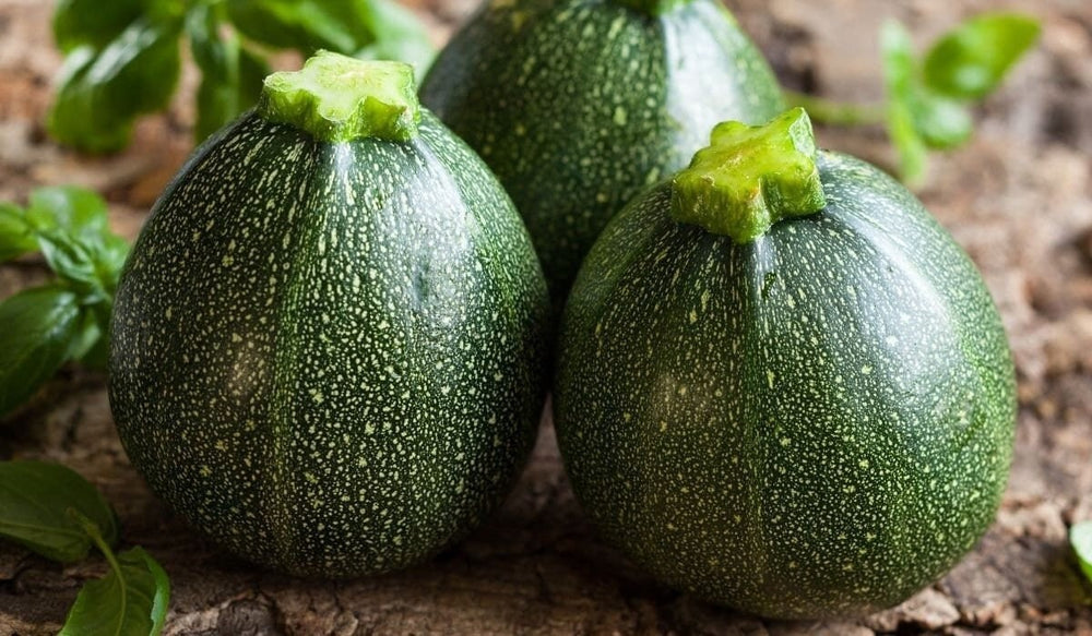 Seeds - round zucchini squash veggie