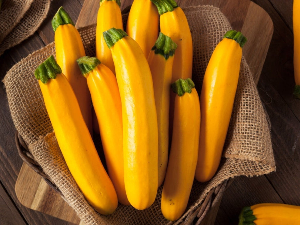 Seeds - golden zucchini squash veggie