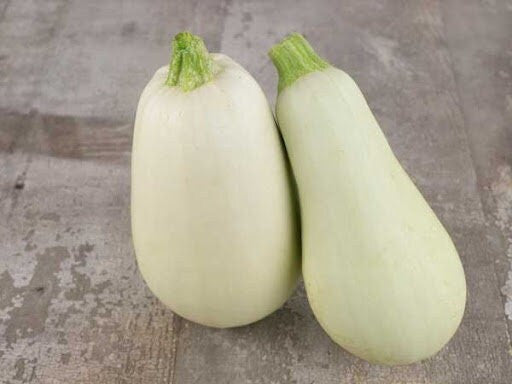 Seeds - blanco lungo squash veggie